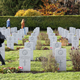 Illustration for article titled 2018 Remembrance Day at Mountain View Cemetery